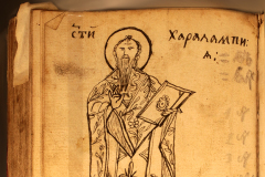 ИЗЛОЖБА „ЛЕКАРСТВЕНИЦИ, БИЛКИ, СВЕТЦИ“