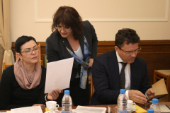РУСКИ ЕКСПЕРТИ ПО ОПАЗВАНЕ НА КУЛТУРНО НАСЛЕДСТВО ОРГАНИЗИРАТ РАБОТЕН СЕМИНАР В НБКМ
