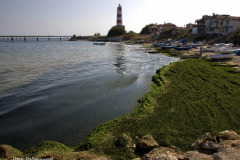МАГИЯТА МОРЕ<br/>Авторска изложба на художник-фотограф Иван Добромиров<br/>