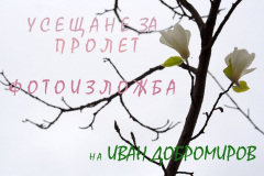 Усещане за пролет<br/> изложба на Иван Добромиров