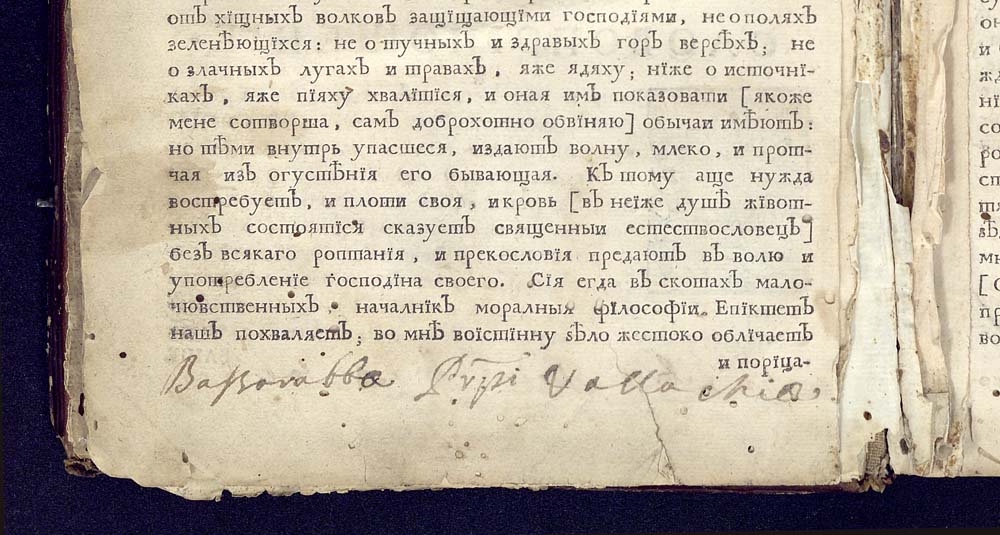 Гравюра от "Книга систима..."