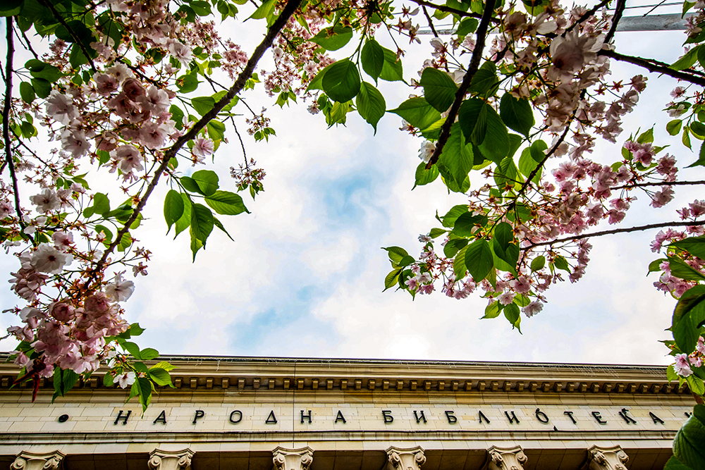 Празник на цъфналите вишни в Националната библиотека